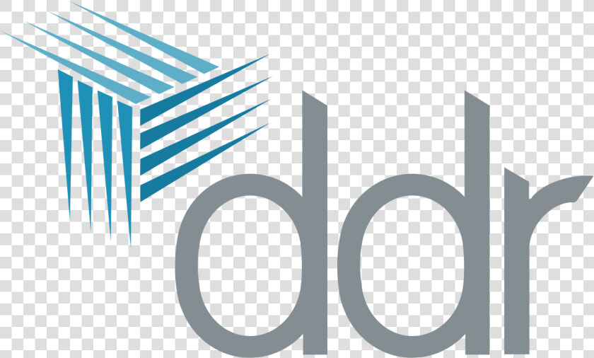 Ddr Real Estate Logo  HD Png DownloadTransparent PNG