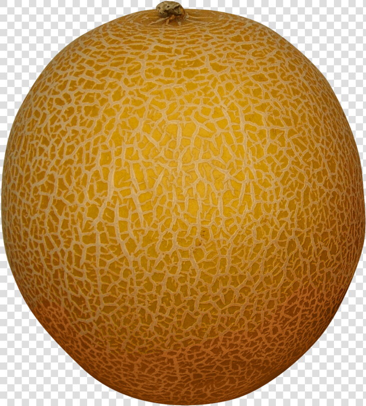 Transparent Honeydew Clipart   Melon Png  Png DownloadTransparent PNG