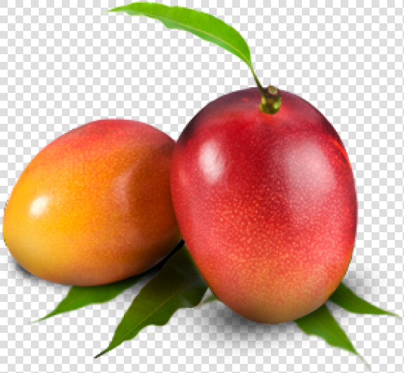 Mango Png Free Download   Raspuri  Transparent PngTransparent PNG