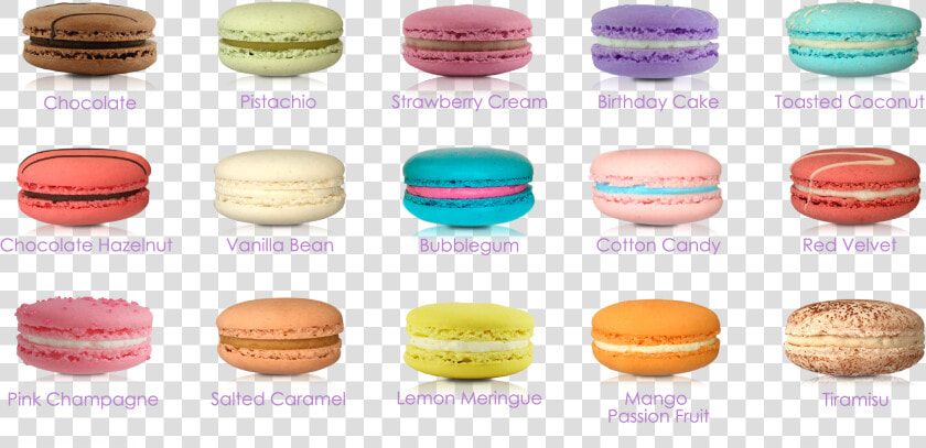 Macaroon  HD Png DownloadTransparent PNG