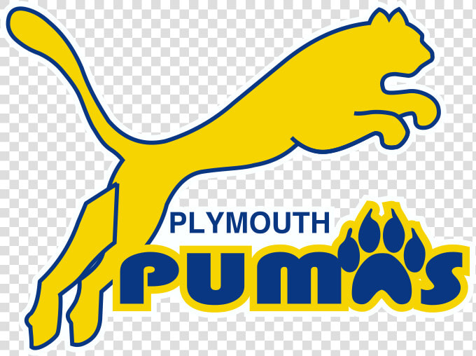 Plymouth Scholars Puma Logo  HD Png DownloadTransparent PNG