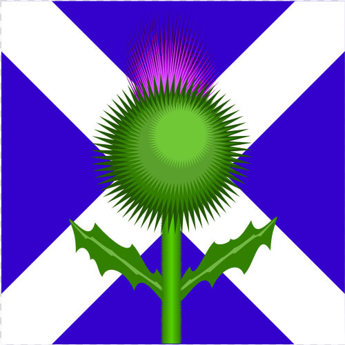 Scottish Thistle And Flag   Scotland Flag And Thistle  HD Png DownloadTransparent PNG