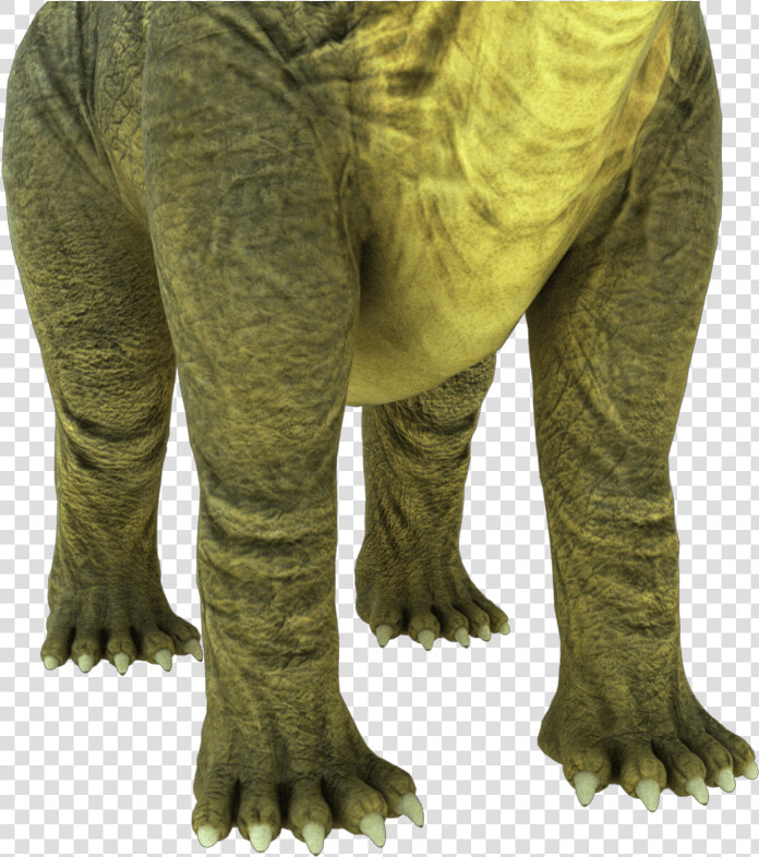 Brontosaurus Apatosaurus 3d Model   Terrestrial Animal  HD Png DownloadTransparent PNG