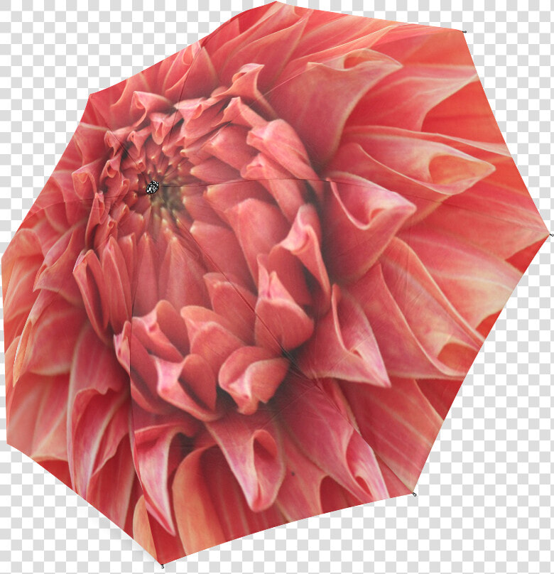 Bright Red Dahlia Flower Foldable Umbrella  HD Png DownloadTransparent PNG