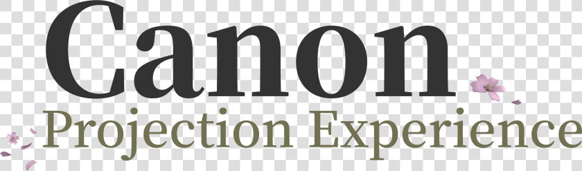 Canon Projection Floor Logo   Data Expert  HD Png DownloadTransparent PNG