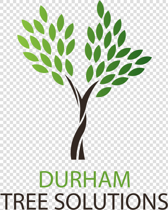 Durham Tree Solutions   Nae Grand Challenge Scholar  HD Png DownloadTransparent PNG