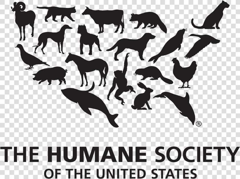 Humane Society Of The United States  HD Png DownloadTransparent PNG