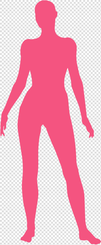 Silueta Del Cuerpo Humano  HD Png DownloadTransparent PNG