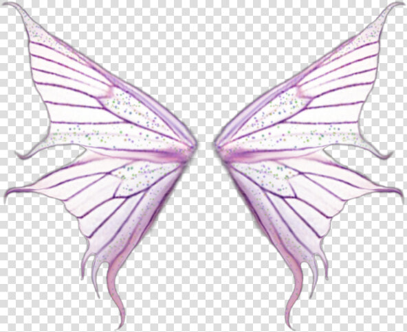  fairy  wings  forest  magic  fairywings   Wings  HD Png DownloadTransparent PNG