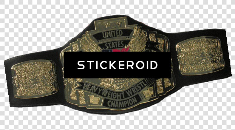 Wrestling Belt Sports   Wcw United States Championship  HD Png DownloadTransparent PNG