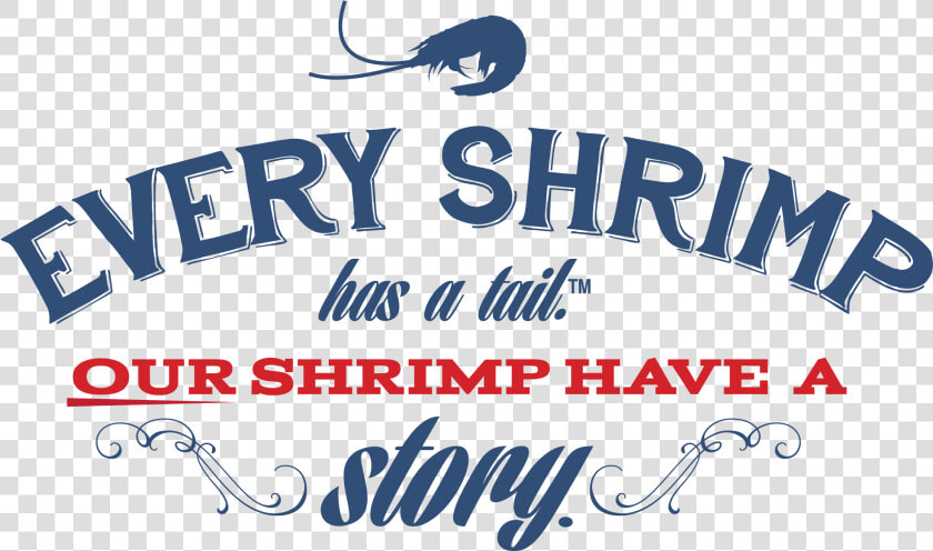 Every Shrimp Has A Tale   Calligraphy  HD Png DownloadTransparent PNG