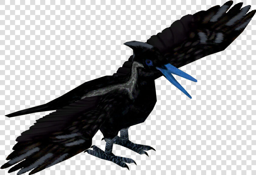 Mockingjay   American Crow  HD Png DownloadTransparent PNG