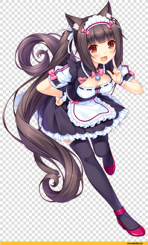 Chocola Nekopara  HD Png DownloadTransparent PNG