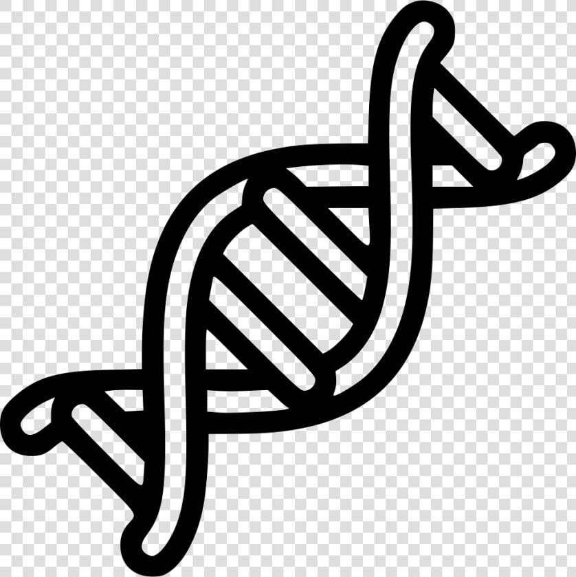 Dna Helix Rna   Double Helix Clipart Dna  HD Png DownloadTransparent PNG