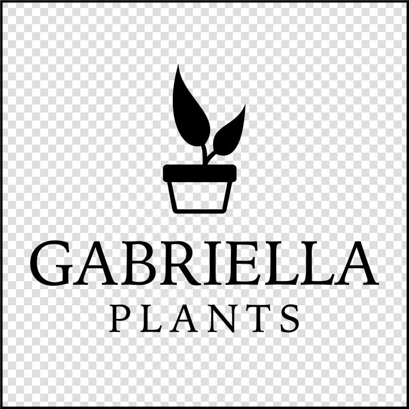 Gabriella Plants  HD Png DownloadTransparent PNG