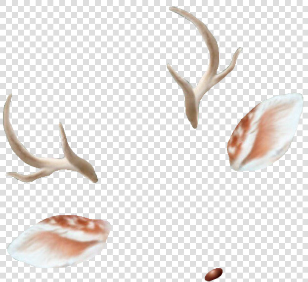 Deer Antlers Ears Doe Deerantlers Snapchat Filter Filte   Snapchat Filters Transparent Background  HD Png DownloadTransparent PNG