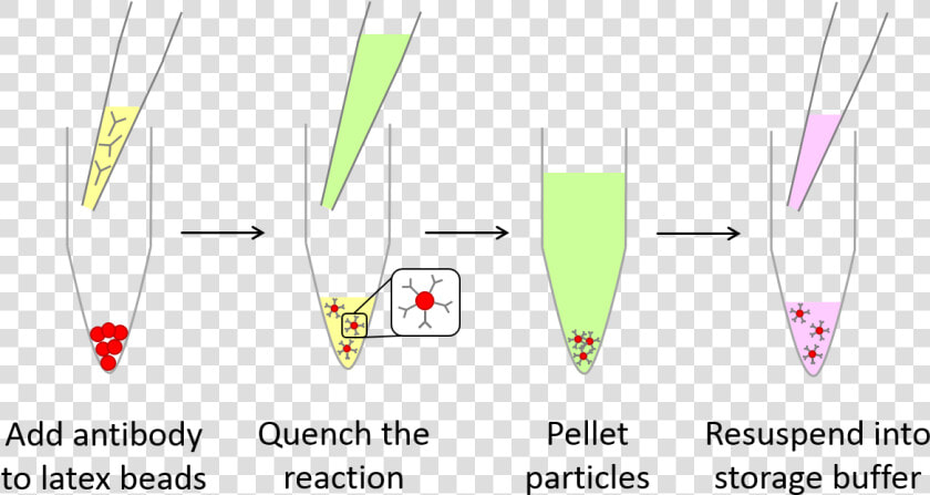 Latex Conjugation Kit Red   Antibody Conjugation To Latex  HD Png DownloadTransparent PNG