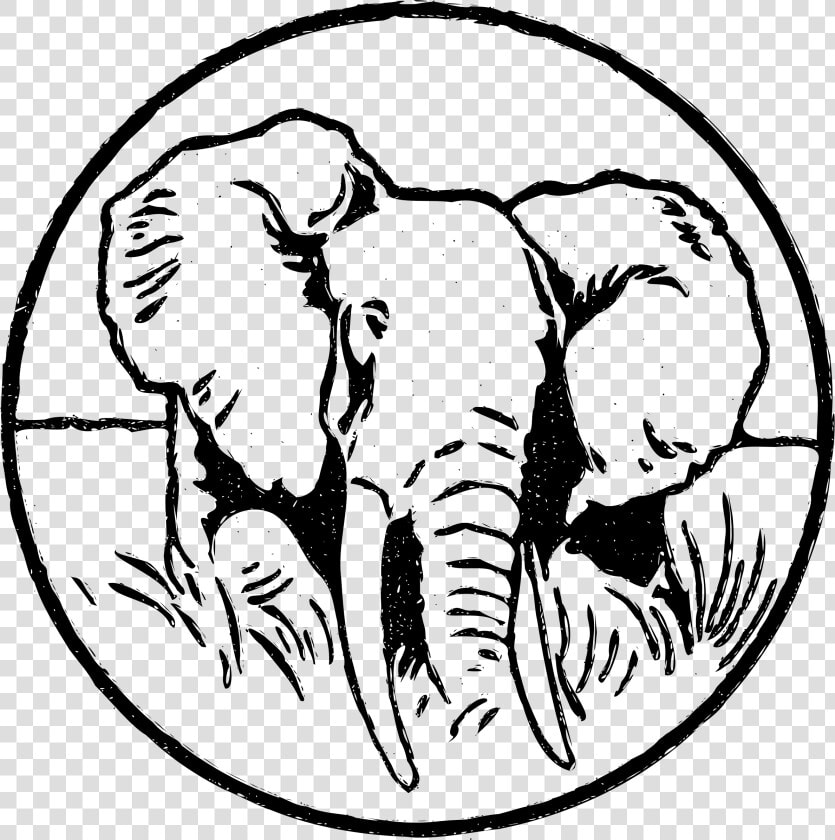 Transparent Elephant Head Clipart   Indian Elephant  HD Png DownloadTransparent PNG