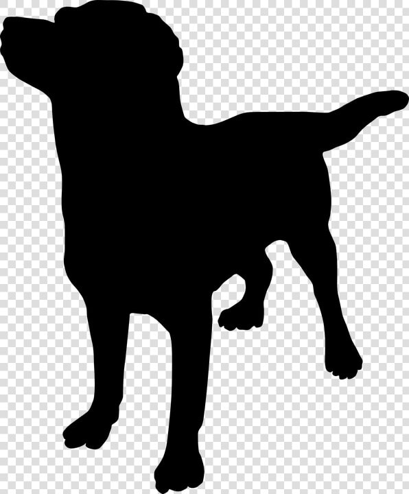 French Bulldog Great Dane Puppy Rottweiler How To Massage   Places To Massage Your Dog  HD Png DownloadTransparent PNG