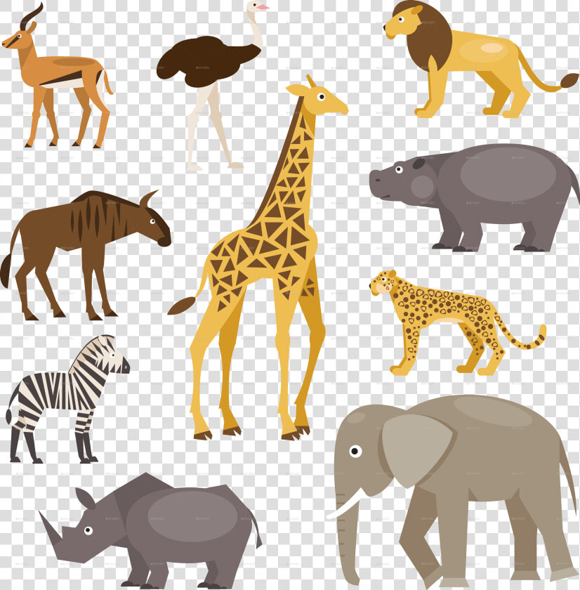 Savannah Animals  HD Png DownloadTransparent PNG