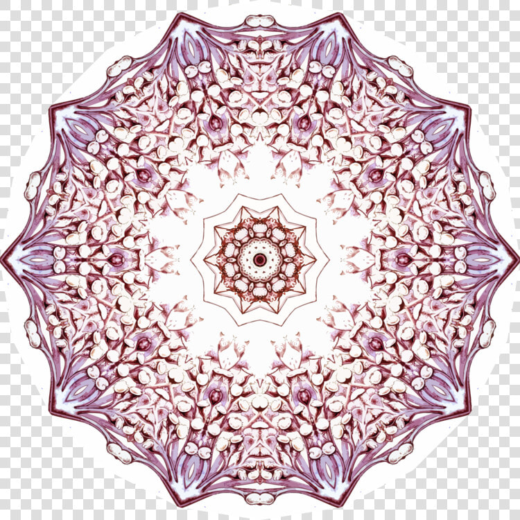 Symmetry textile doily   Circle  HD Png DownloadTransparent PNG