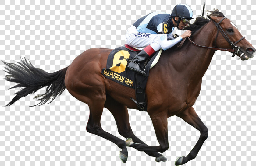 Horse Jockey Png Image   Horse With Jockey Png  Transparent PngTransparent PNG