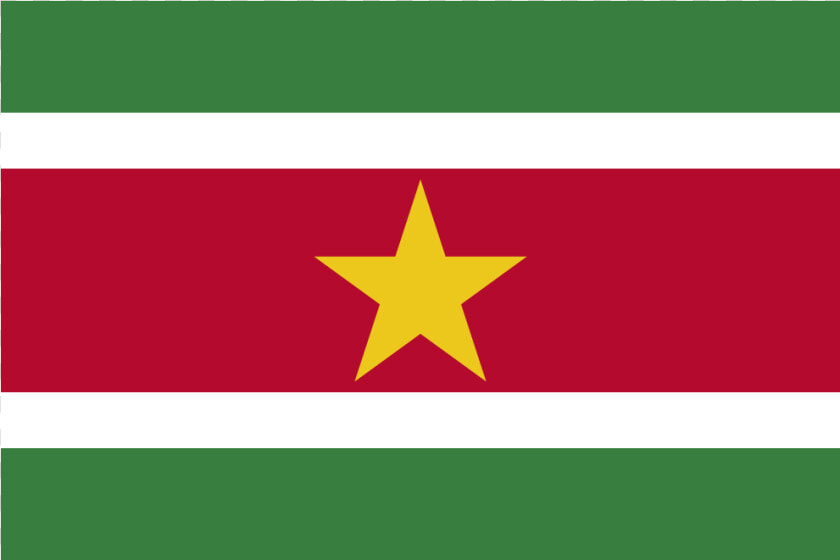 Sr Suriname Flag Icon   Flag Suriname  HD Png DownloadTransparent PNG