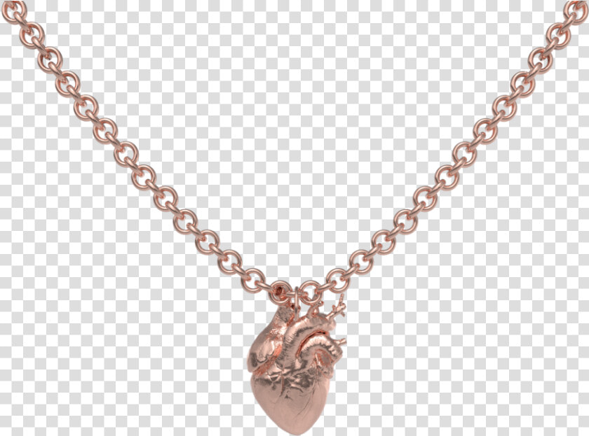 16th Century Chain Necklace  HD Png DownloadTransparent PNG