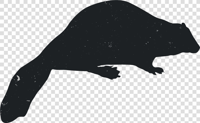 Silhouette Rat Animal Carnivora Black   Rat  HD Png DownloadTransparent PNG