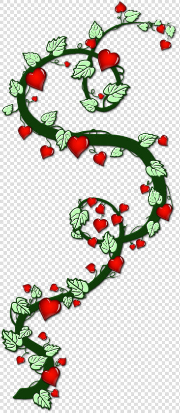 Heart  Creeper  Bush  Love  Symbol   Heart  HD Png DownloadTransparent PNG