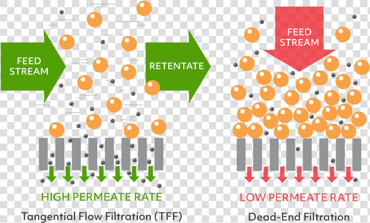 Tangential Flow Filtration Vs Dead end Filtration   Direct Flow Filtration Vs Tangential Flow Filtration  HD Png DownloadTransparent PNG