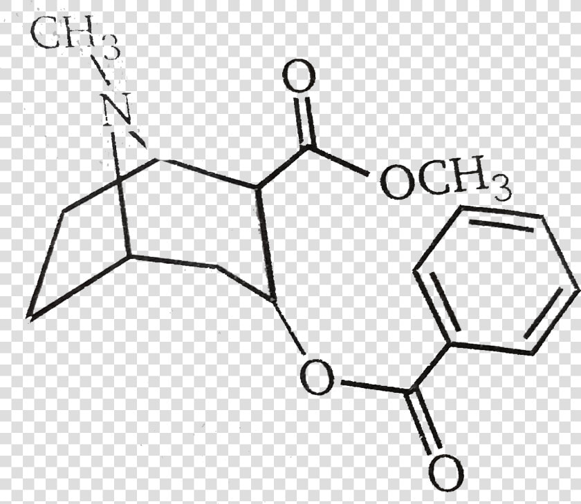 Cocaine Png  Transparent PngTransparent PNG