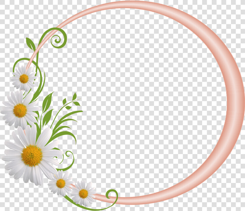 Cream Round Frame With Daisies   Flower Round Frames Png  Transparent PngTransparent PNG