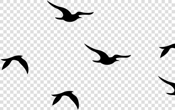 Flying Bird Graphic   Birds Flying Silhouette Svg  HD Png DownloadTransparent PNG