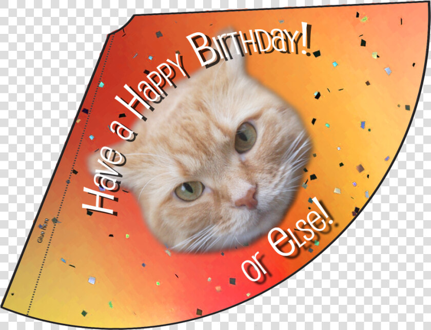 Orange Happy Birthday Or Else Hat   Asian  HD Png DownloadTransparent PNG