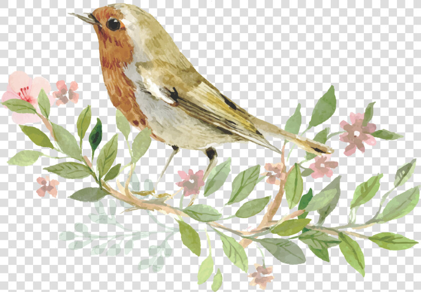 Sparrow Bird Watercolor Painting   Transparent Bird Png Watercolor  Png DownloadTransparent PNG