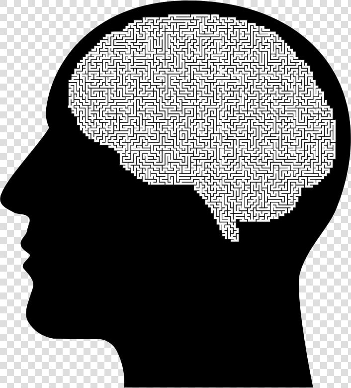 Transparent Man Head Silhouette Png   Brain Human Head Silhouette  Png DownloadTransparent PNG