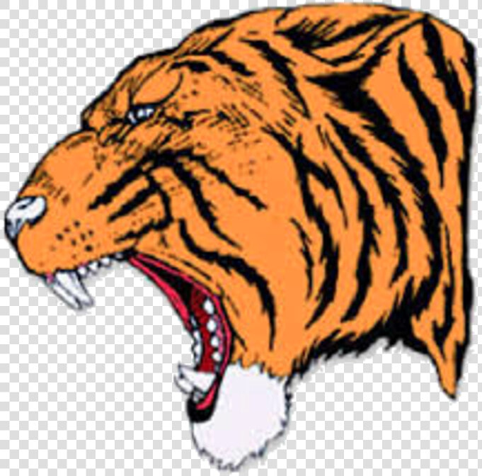 The Reeds Spring Wolves Defeat The Hollister Tigers   Hollister Tigers  HD Png DownloadTransparent PNG