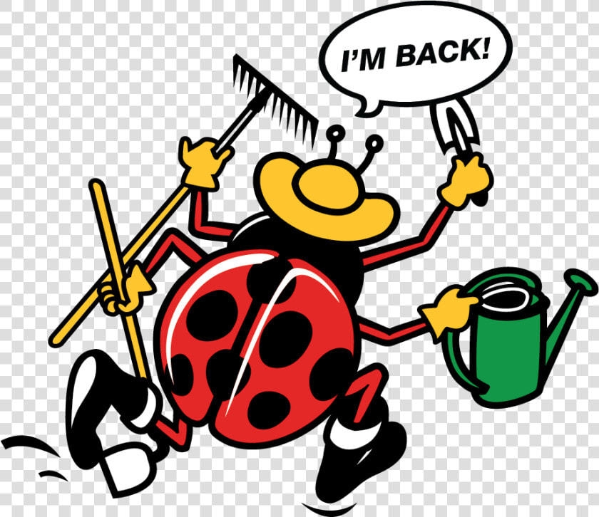 Lady Bug Cartoon Saying  I M Back  HD Png DownloadTransparent PNG