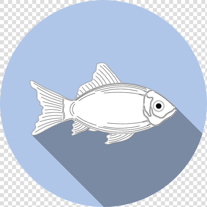 Fish  Allergy  Food  No Fishing  Symbol  Icon  Sign   Tuna Puns  HD Png DownloadTransparent PNG