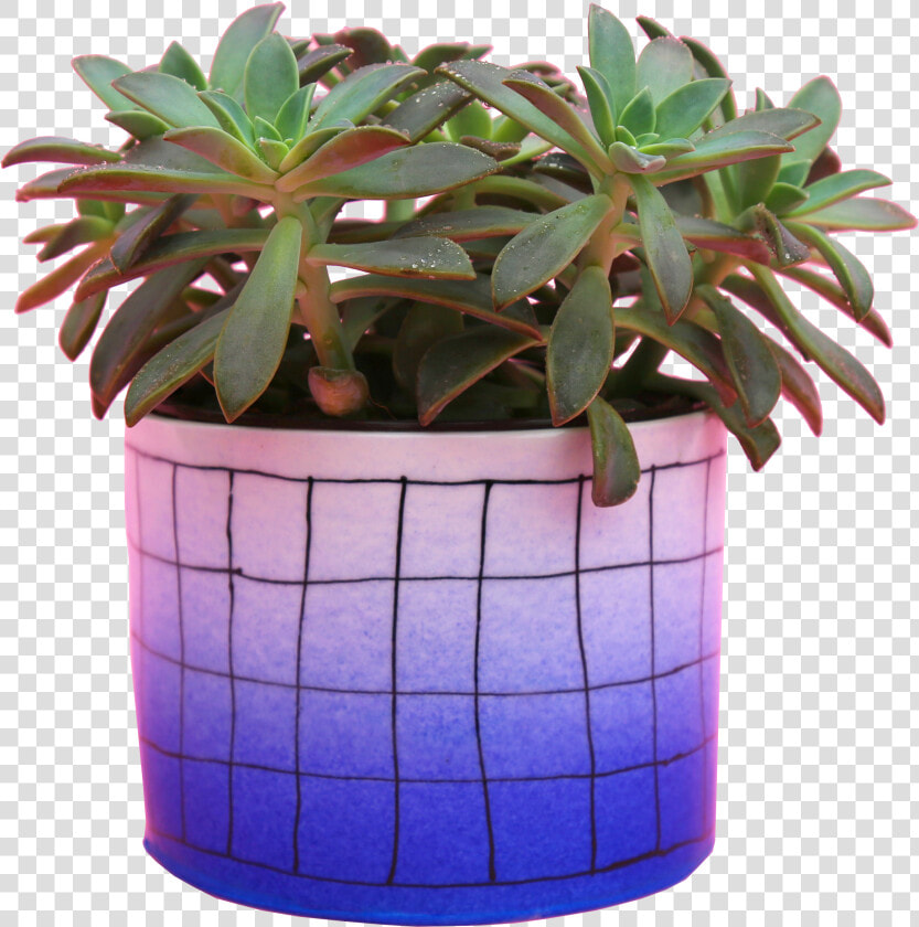 Flowerpot  HD Png DownloadTransparent PNG