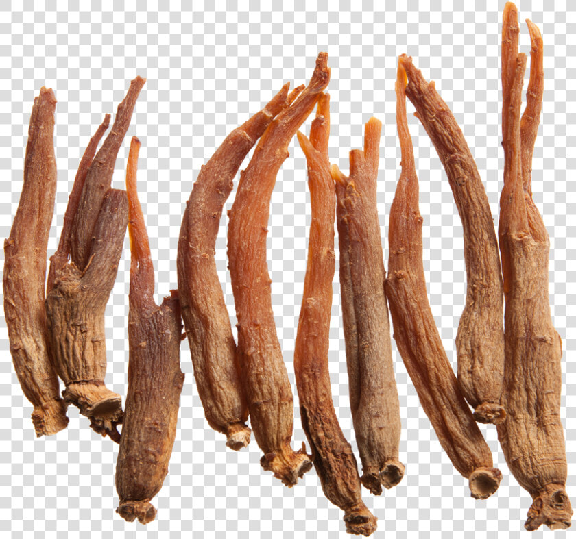 Red Ginseng Root  HD Png DownloadTransparent PNG