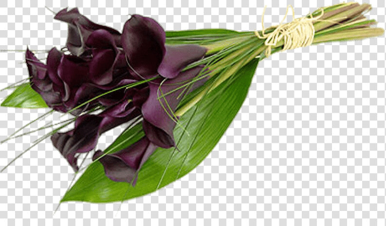 Tied Purple Calla Lilies   Calla Purple Funeral Flowers  HD Png DownloadTransparent PNG