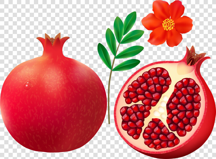 F Cdba Orig   Pomegranate Clipart  HD Png DownloadTransparent PNG