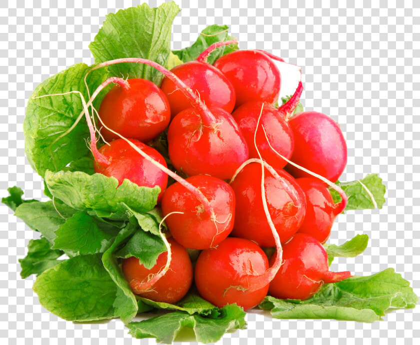 Radish   ผัก ผล ไม้ สี Png  Transparent PngTransparent PNG