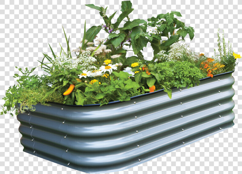 Birdies Modular Raised Garden Bed Prefect For A New   Birdies Raised Garden Beds  HD Png DownloadTransparent PNG