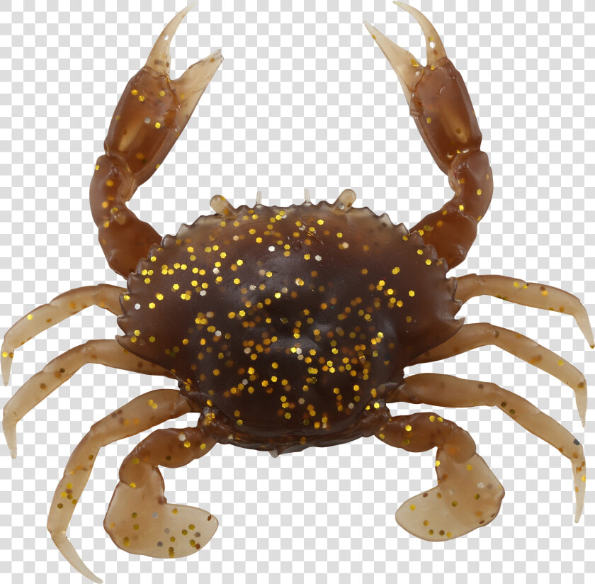 Freshwater Crab  HD Png DownloadTransparent PNG