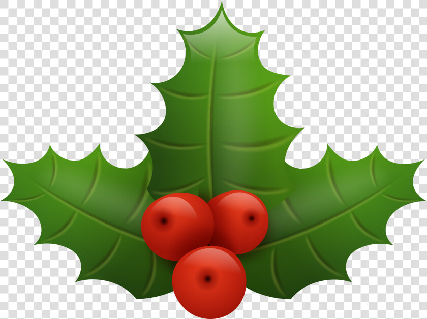 Christmas Holly Png Clip Art Image   Christmas Holly Berry Vector Png  Transparent PngTransparent PNG