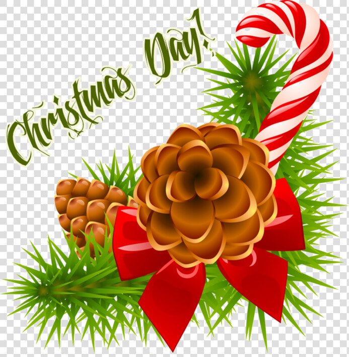 Christmas Day Decoration Png Transparent   Clip Art Christmas Pine Cone  Png DownloadTransparent PNG