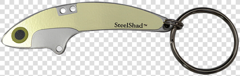 Steelshad Gold Key Ring   Keychain  HD Png DownloadTransparent PNG